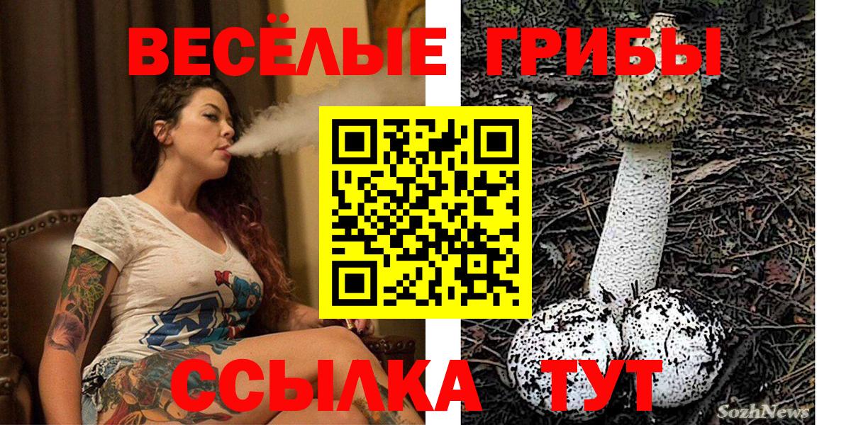 Галлюциногенные грибы Psilocybe  Вход с VPN  Балашов 