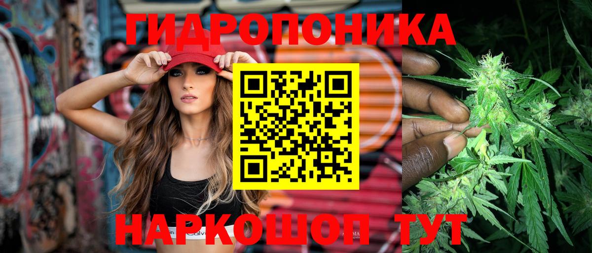 Балашов  Каннабис конопля  Бошки марихуана ГИДРОПОН  Вход с VPN  Марихуана THC 21%  Марихуана VHQ 
